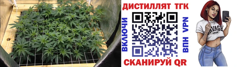 ТГК вейп с тгк  дарнет шоп  Воткинск 